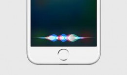 siri最新爆料,揭秘苹果未来科技与产品革新